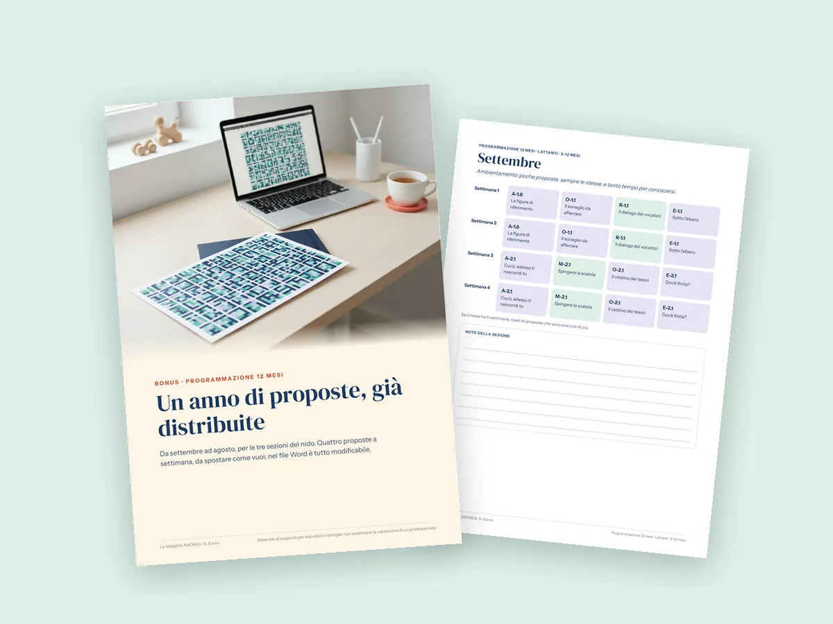 Bonus Programmazione 12 mesi: copertina e una pagina
