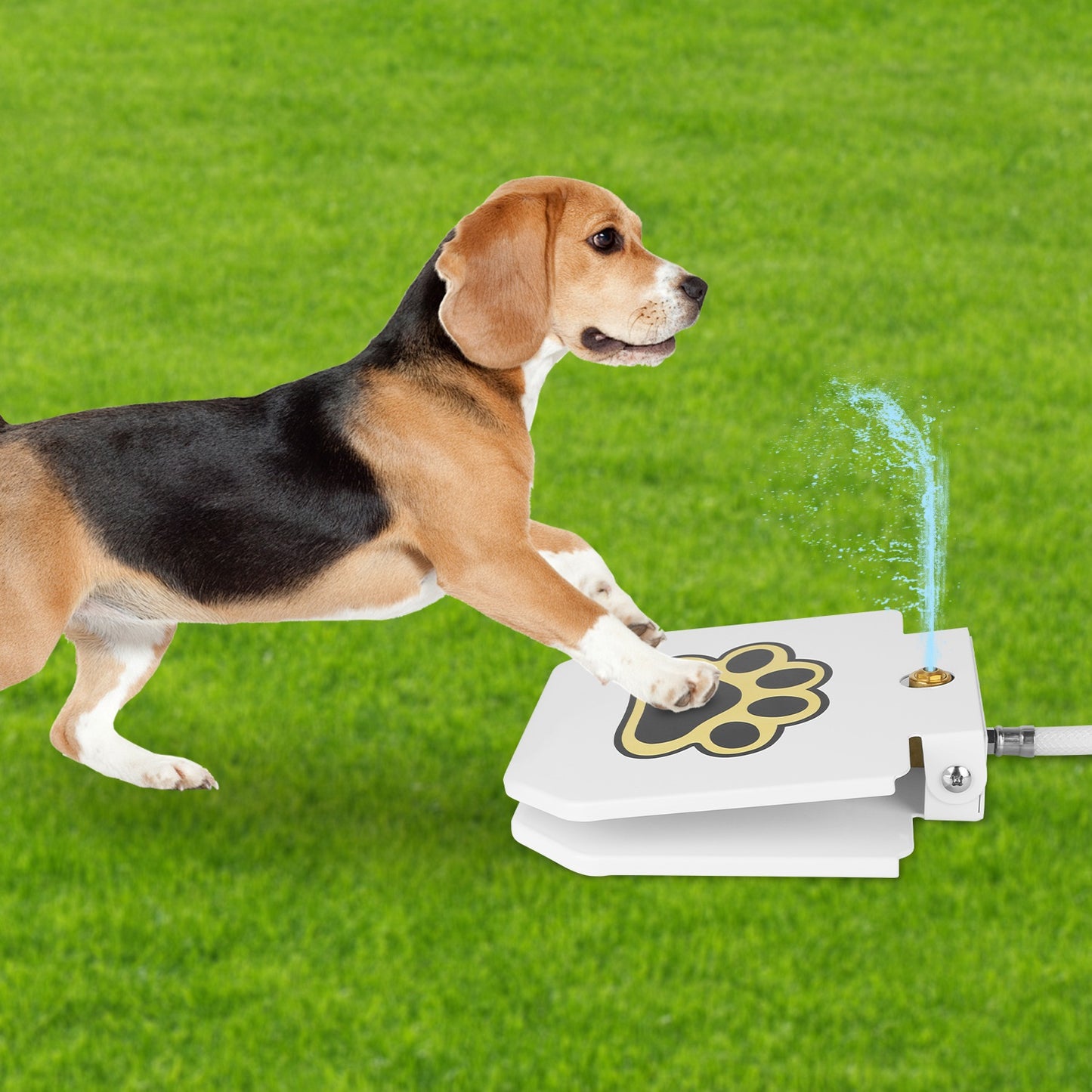 Amorea gallery 2026-07-14:3:outdoor-dog-water-fountain — White