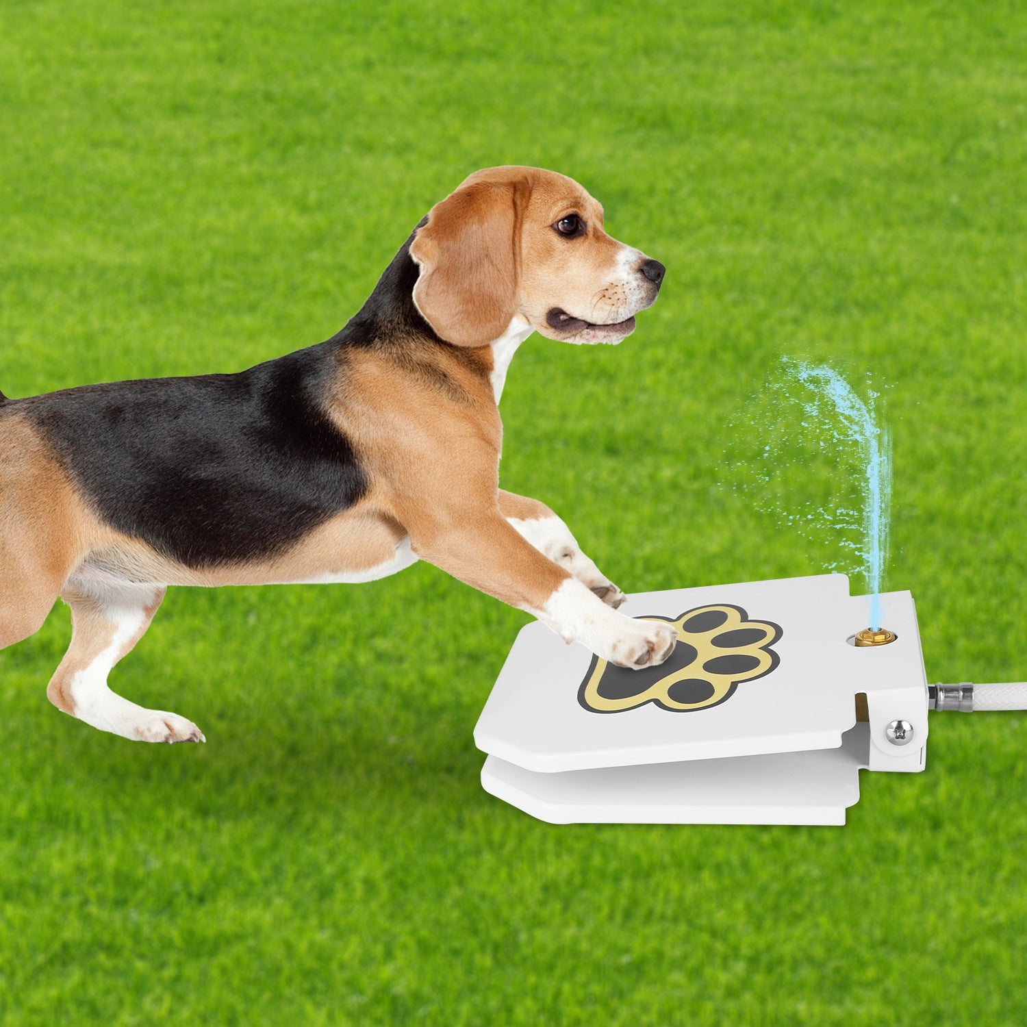 Amorea gallery 2026-07-14:3:outdoor-dog-water-fountain — White