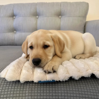Quilted Pet Mat by Amorea — product image 4