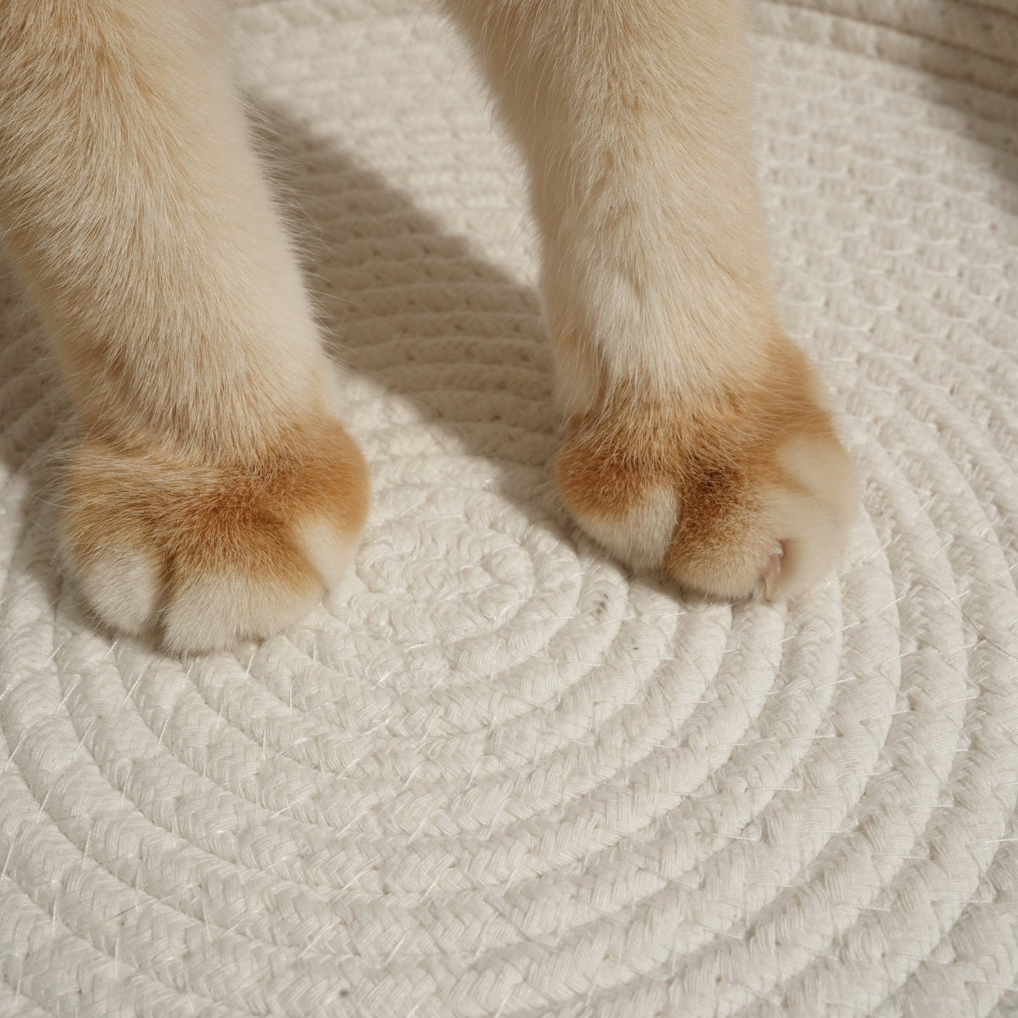 Woven Cat Basket Bed by Amorea — product image 7