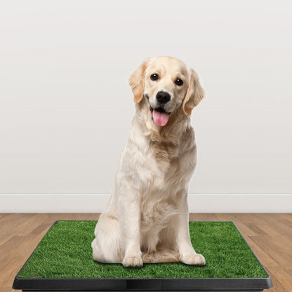 Amorea gallery 2026-07-14:2:dog-grass-potty-pad — Black