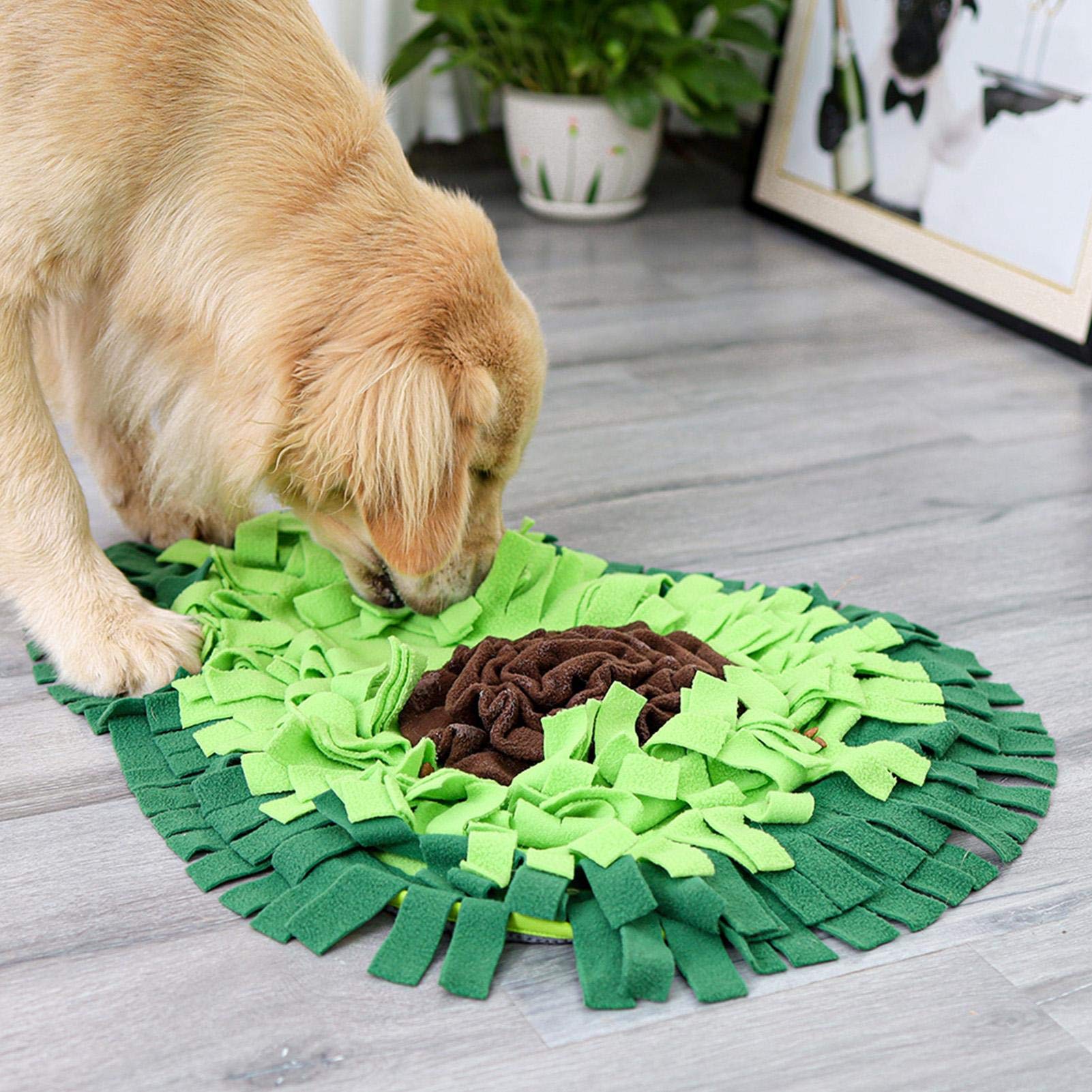 Dog Snuffle Mat for Enrichment & Slow Feeding — supplier view 6