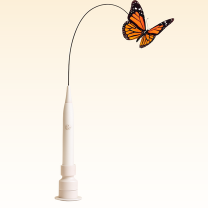 Doorway Bouncing Cat Toy by Amorea — product image 1