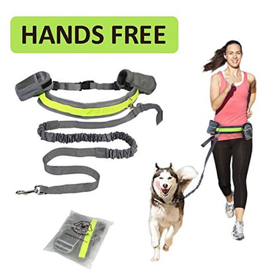 Hands-Free Dog Leash for Walking & Running — supplier view 2