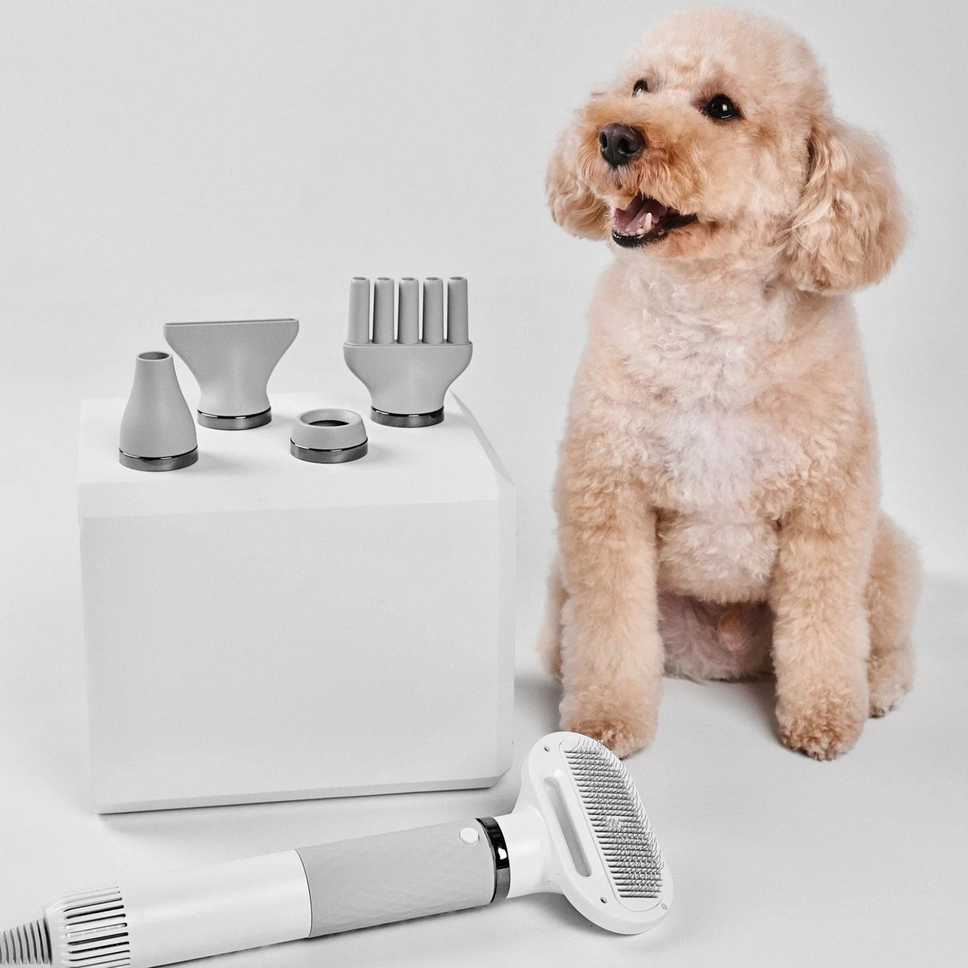 Smart Pet Dryer by Amorea — product image 2