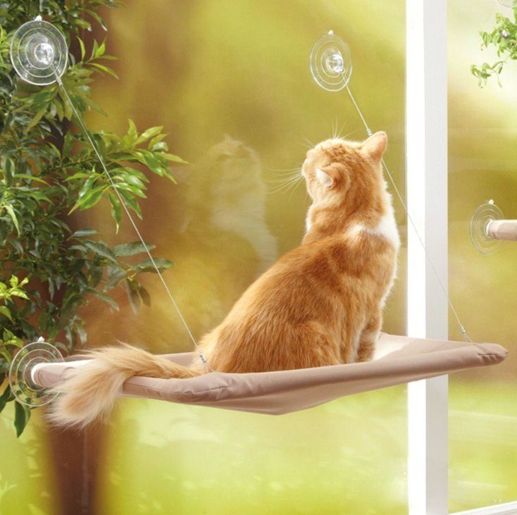 Cat Window Perch for Elevated Indoor Rest — exact supplier product view