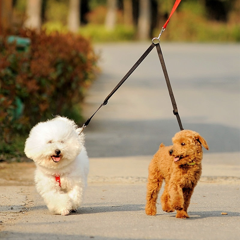 Double Dog Leash Coupler for Two Dogs — supplier view 5