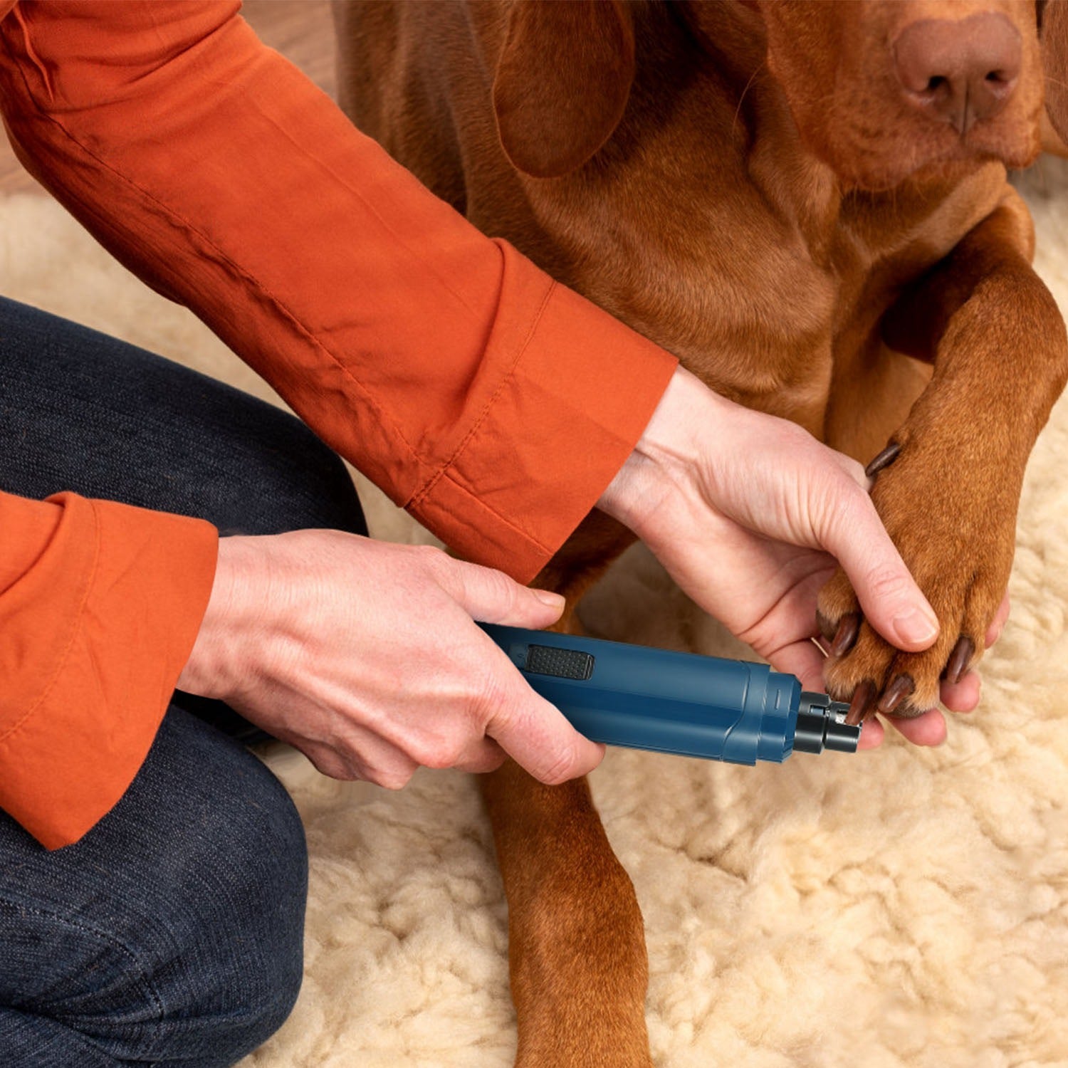 Amorea gallery 2026-07-14:4:dog-nail-grinder — Blue