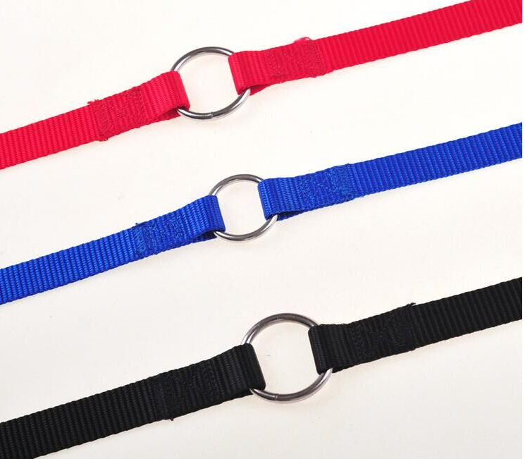 Double Dog Leash Coupler for Two Dogs — exact supplier product view