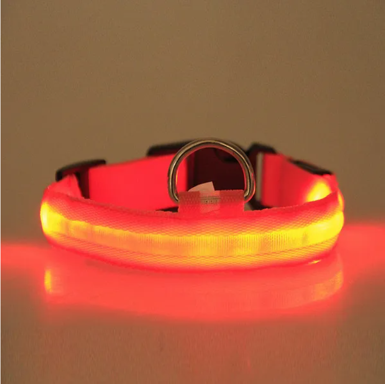 Amorea verified 2026-07-15T13:10:00.000Z: Red LED dog collar