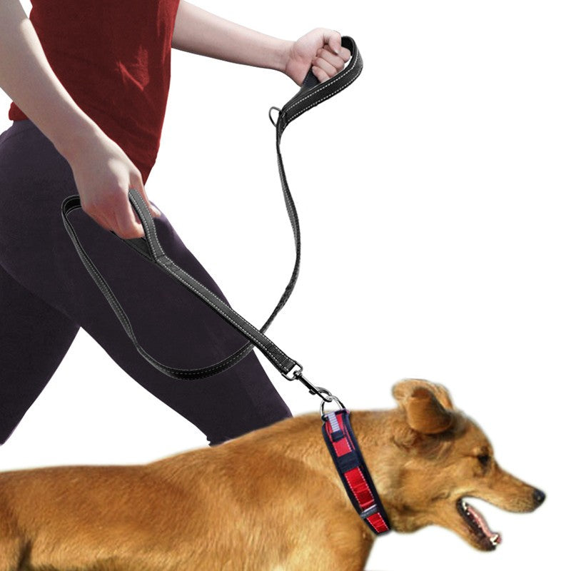 Amorea gallery 2026-07-14:1:double-handle-dog-leash — Black