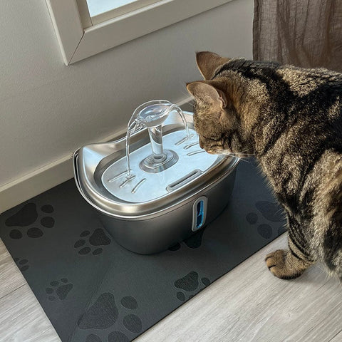 Cat drinking from the 3L stainless steel pet fountain