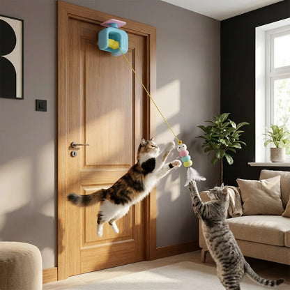 Hanging Yo-Yo Cat Toy by Amorea — product image 5