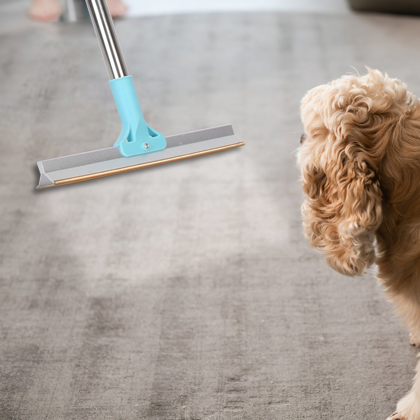 Amorea gallery 2026-07-14:11:pet-hair-remover-rake — 1Pc