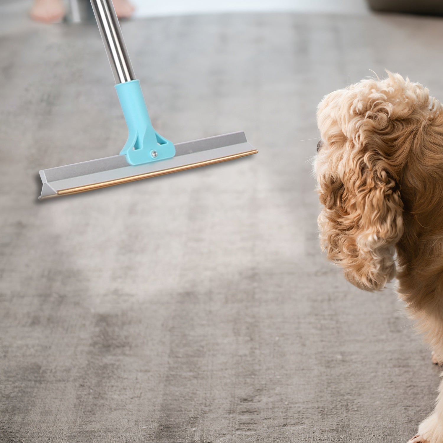 Amorea gallery 2026-07-14:11:pet-hair-remover-rake — 1Pc