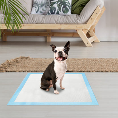 Amorea gallery 2026-07-14:12:puppy-pee-pads — 50Pcs