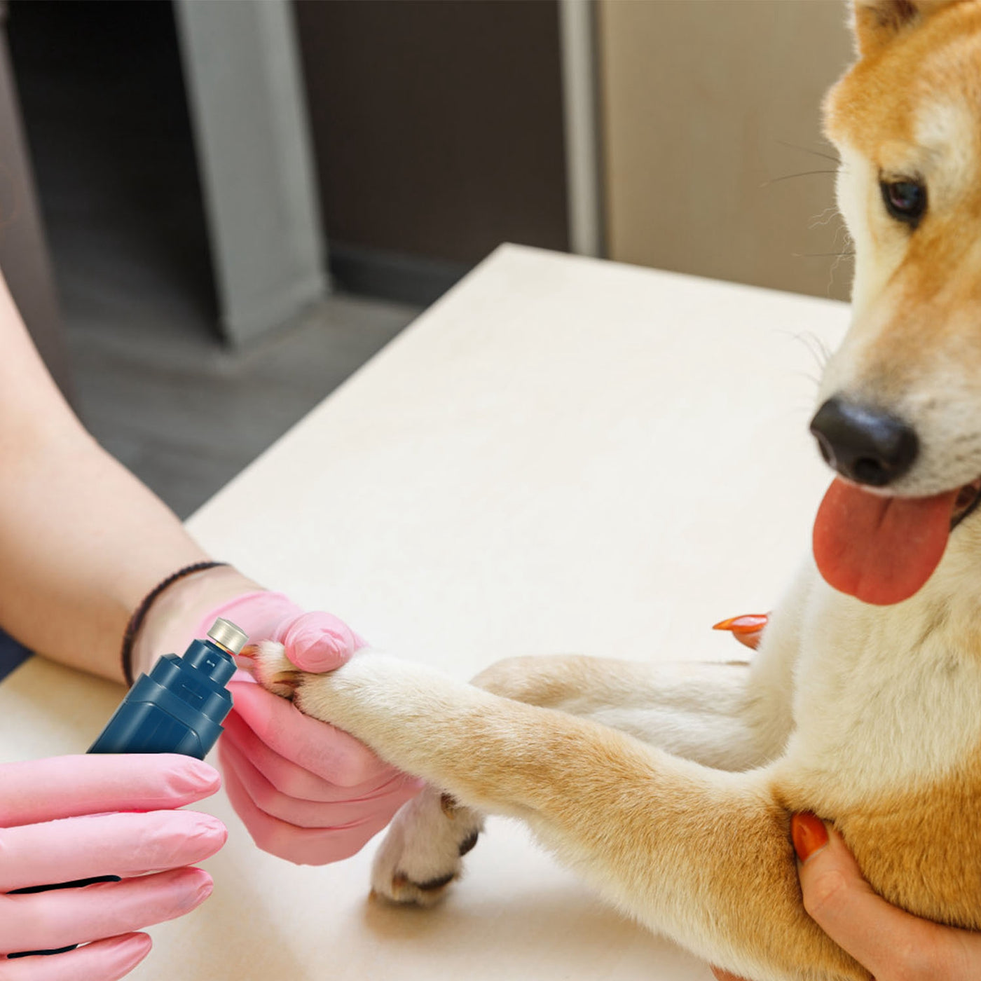 Amorea gallery 2026-07-14:9:dog-nail-grinder — Blue