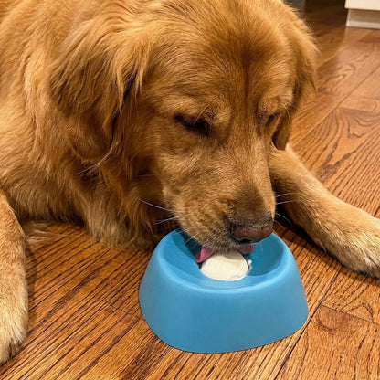 Blue rolling lick dog bowl