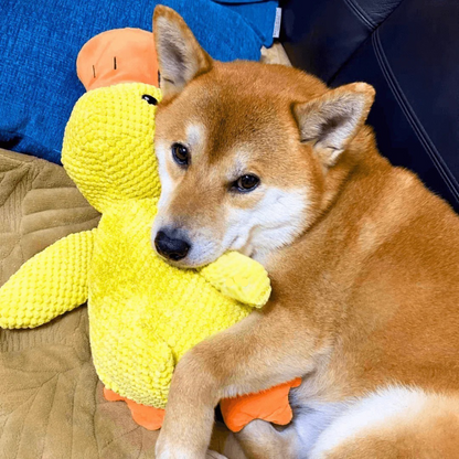 Plush duck toy for play and rest