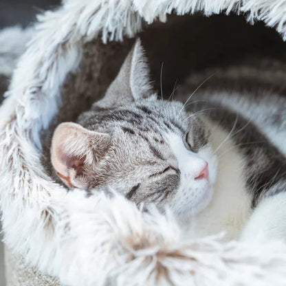 Cat resting inside the pet sleeping cave
