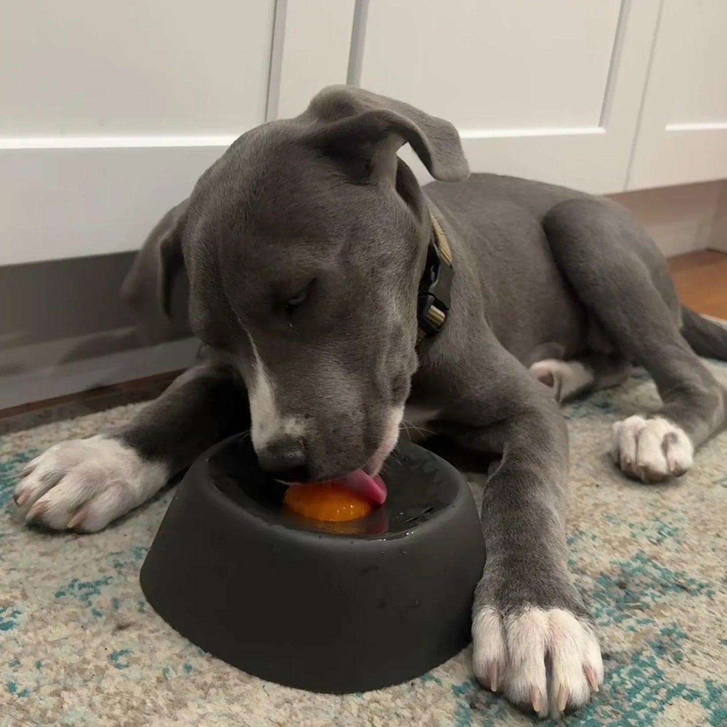 Black rolling lick dog bowl