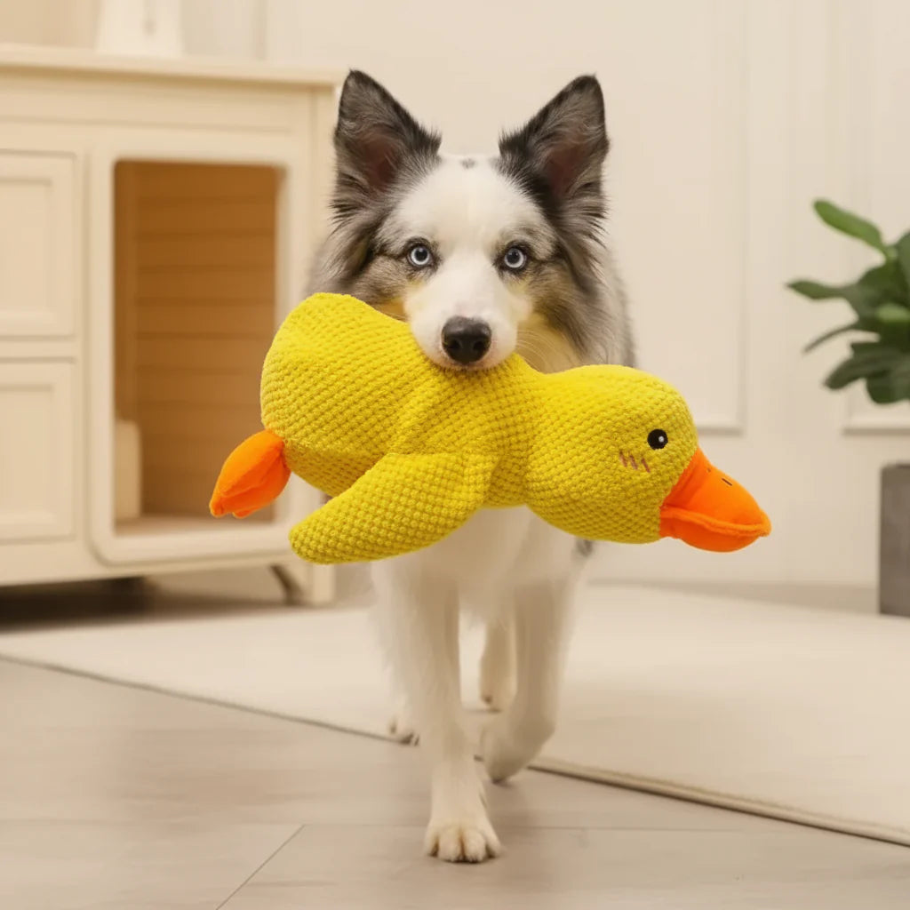 Plush duck toy with low quacking sound